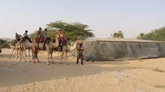 Negev Camel Ranch | Tamar Bölge Konseyi - Dimona