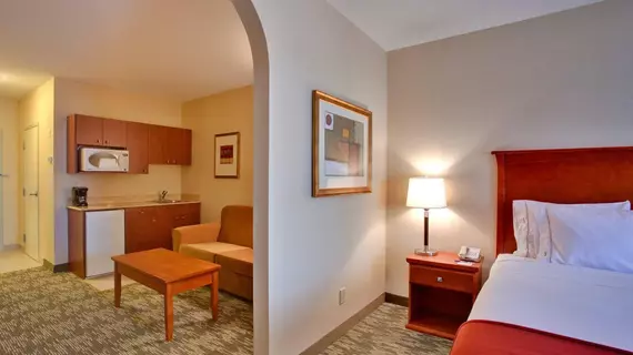 Holiday Inn Express Hotel & Suites-Edmonton South | Alberta - Edmonton (ve civarı) - Edmonton