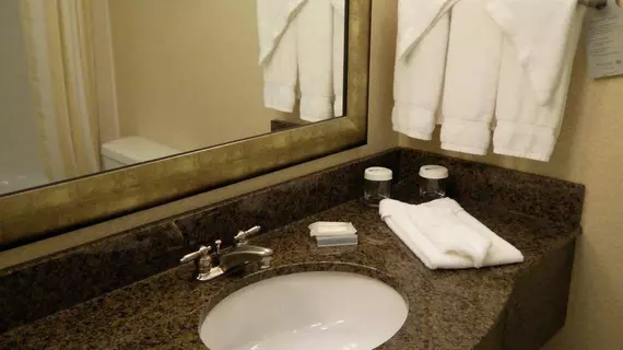 Hilton Garden Inn Huntsville South/Redstone Arsenal | Alabama - Huntsville (ve civarı) - Huntsville