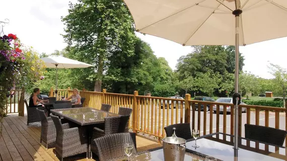 Best Western Forest Lodge Hotel | Hampshire (kontluk) - Lyndhurst - Emery Down