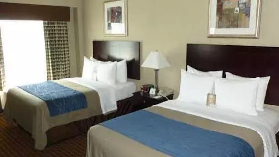 Comfort Inn Rochester | New York - Rochester (ve civarı) - Rochester