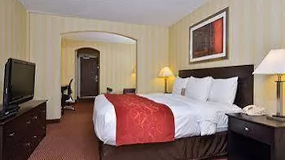 Comfort Suites Highlands Ranch/Littleton | Kolorado - Denver (ve civarı) - Highlands Ranch