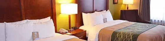 Comfort Inn & Suites Fayetteville | Arkansas - Bentonville - Fayetteville (ve civarı) - Fayetteville