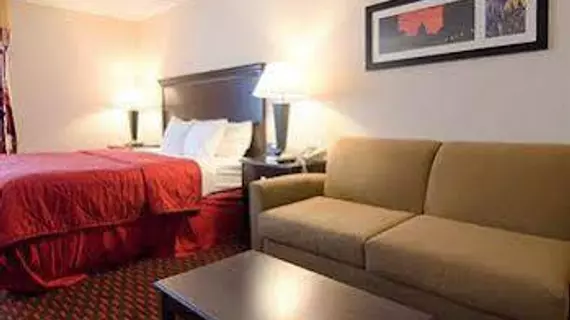 Comfort Inn Annapolis | Maryland - Annapolis (ve civarı) - Annapolis