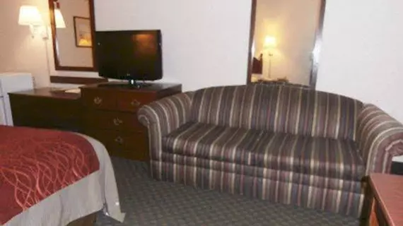 Comfort Inn & Suites Streetsboro | Ohio - Summit İlçesi - Akron (ve civarı) - Streetsboro