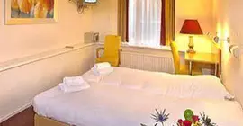 Amsterdam Hostel Sarphati | Kuzey Hollanda - Amsterdam - De Pijp