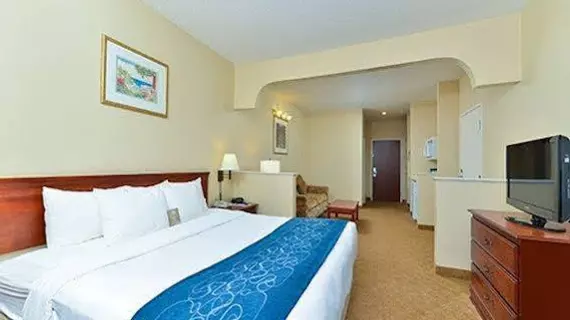 Comfort Suites Cordova | Tennessee - Memphis (ve civarı) - Cordova