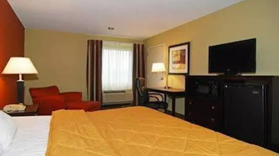 Comfort Inn Pine Bluff | Arkansas - Pine Bluff (ve civarı) - Pine Bluff