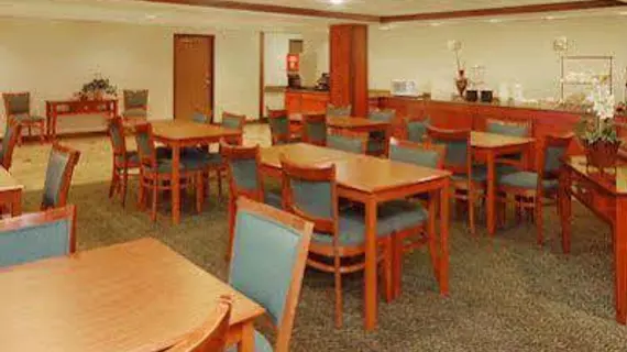 Quality Inn and Suites | Michigan - Detroit (ve civarı) - Romulus