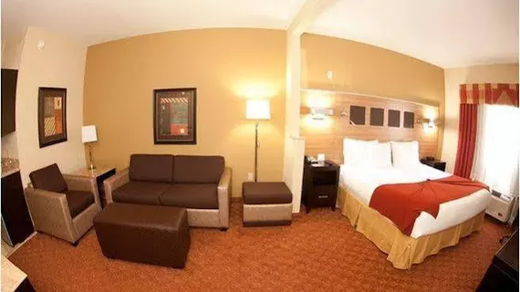 Holiday Inn Express Hotel & Suites Dallas-North Tollway/North Plano | Teksas - Dallas (ve civarı) - Plano