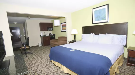 Holiday Inn Express Hotel & Suites Roseville | Michigan - Detroit (ve civarı) - Roseville