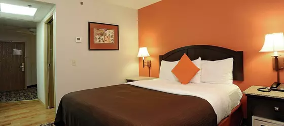 La Quinta Inn Springfield South | Missouri - Springfield (ve civarı) - Springfield