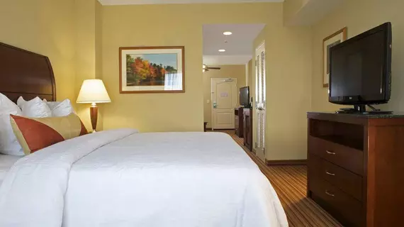 Hilton Garden Inn Fort Myers Airport/FGCU | Florida - Fort Myers (ve civarı) - Fort Myers