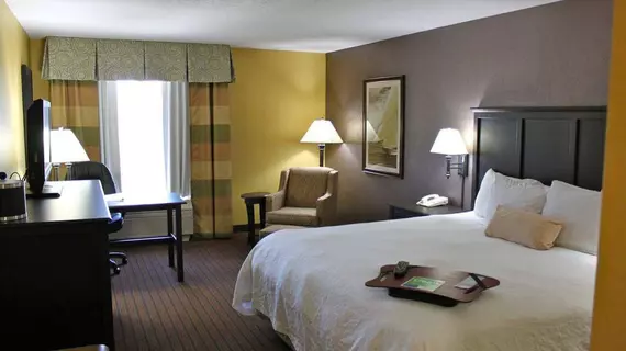 Hampton Inn Holland | Michigan - Holland (ve civarı) - Holland