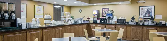 Quality Inn Branson - Hwy 76 Central | Missouri - Branson (ve civarı) - Branson - Branson Theater District