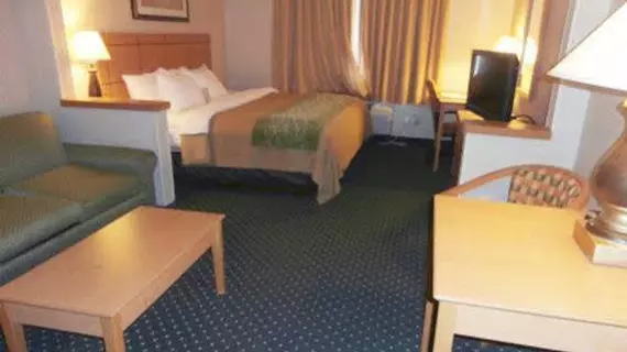 Comfort Inn Kokomo | Indiana - Kokomo (ve civarı) - Kokomo