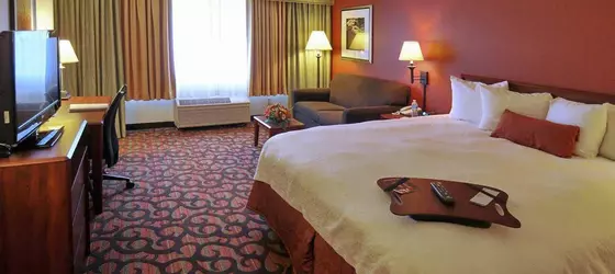 Hampton Inn Denver West Federal Center | Kolorado - Denver (ve civarı) - Lakewood