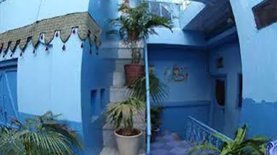 Hotel The Blue House | Racastan - Jodhpur Bölgesi - Jodhpur