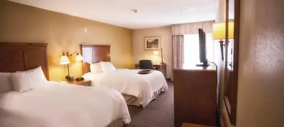 Hampton Inn Marion | Indiana - Marion (ve civarı) - Marion