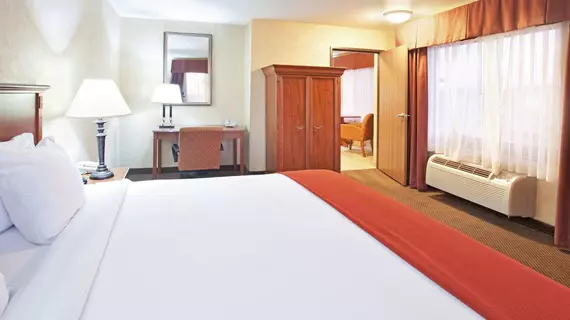 Holiday Inn Express Hotel & Suites Barstow | Kaliforniya - San Bernardino County - Victorville (ve civarı) - Barstow