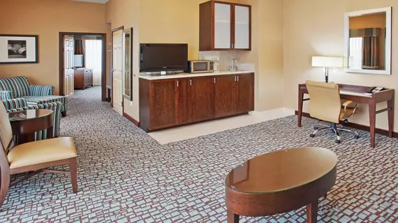 Holiday Inn Express Salinas | Kaliforniya - Monterey (ve civarı) - Salinas