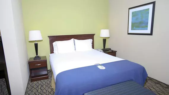 Holiday Inn Express Hotel & Suites Roseville | Michigan - Detroit (ve civarı) - Roseville