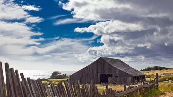 Sea Ranch Lodge | Kaliforniya - Sonoma İlçesi - Sea Ranch