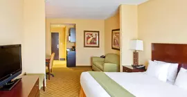 Holiday Inn Express Hotel & Suites Tampa -USF-Busch Gardens | Florida - Tampa (ve civarı) - Tampa