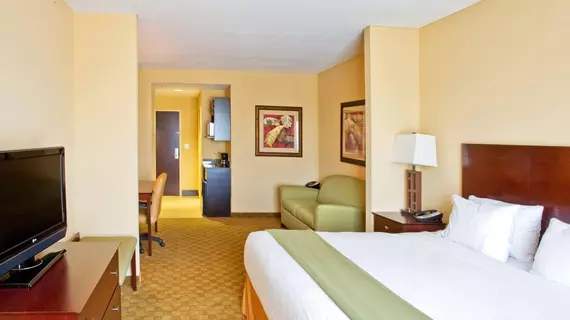 Holiday Inn Express Hotel & Suites Tampa -USF-Busch Gardens | Florida - Tampa (ve civarı) - Tampa