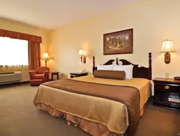 Best Western Plus Sam Houston Inn & Suites | Teksas - Houston (ve civarı) - Houston