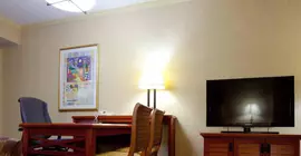 Embassy Suites San Antonio - International Airport | Teksas - San Antonio (ve civarı) - San Antonio - Kuzey San Antonio - SAT Havalimanı