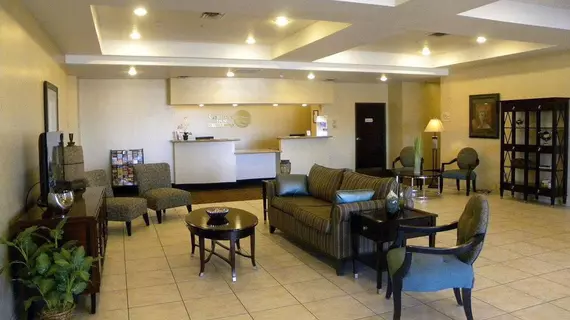 Comfort Inn & Suites Regional Medical Center | Teksas - Abilene (ve civarı) - Abilene