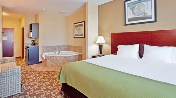 HOLIDAY INN EXPRESS & SUITES S | Missouri - St. Louis (ve civarı) - St. Charles