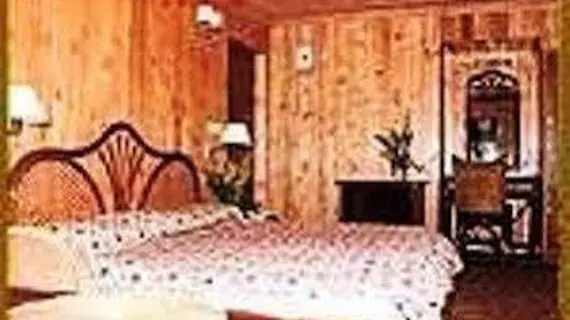 Grand Mumtaz Cottage | Cammu ve Keşmir - Srinagar (ve civarı) - Gulmarg