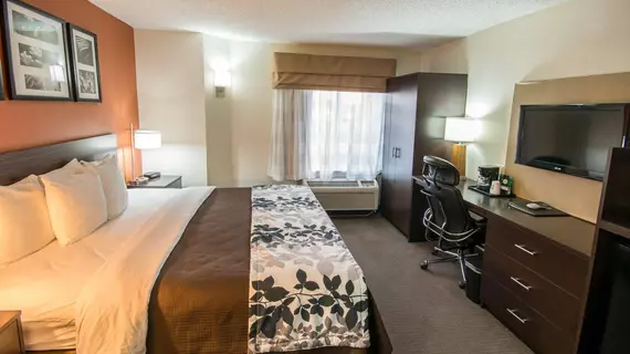 Sleep Inn DFW North | Teksas - Dallas (ve civarı) - Irving