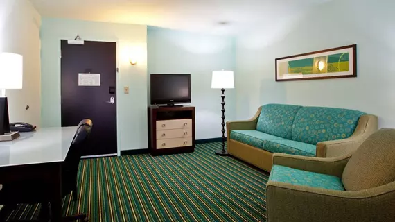 Holiday Inn Express Hotel & Suites Norfolk Airport | Virginia - Norfolk - Virginia Beach (ve civarı) - Norfolk