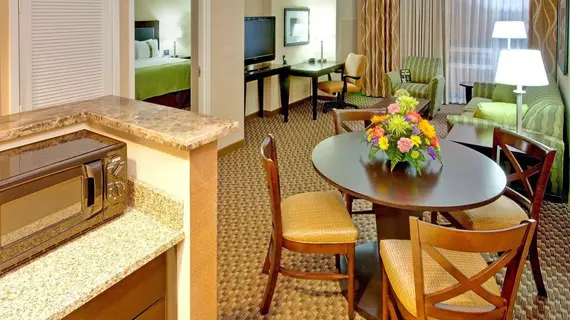 Holiday Inn Hotel & Suites Memphis-Wolfchase Galleria | Tennessee - Memphis (ve civarı) - Memphis