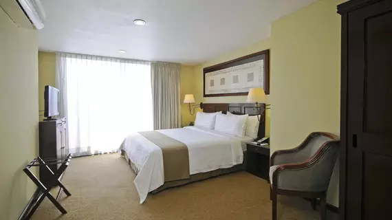 Holiday Inn Hotel & Suites Mexico Zona Rosa | Mexico City (ve civarı) - Meksiko - Cuauhtemoc