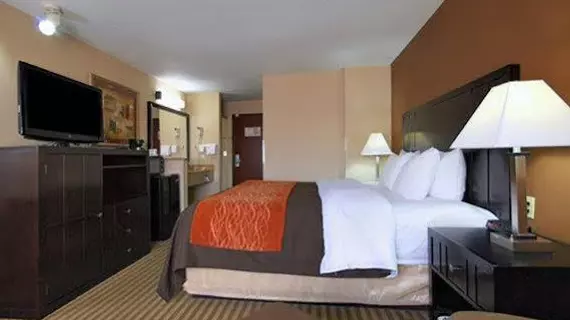 Comfort Inn Portland | Oregon - Portland (ve civarı) - Portland