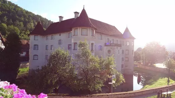 Privathotel-Pension Zur Freystatt am Wasserschloss | Baden-Wuerttemberg - Sulz am Neckar - Glatt