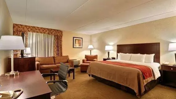 Comfort Inn Lansing | Michigan - Lansing (ve civarı) - Lansing