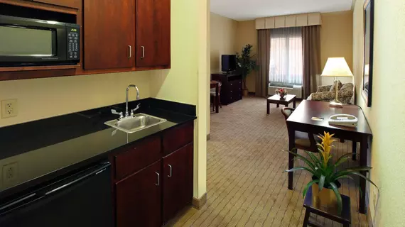 HOLIDAY INN EXPRESS FORT SMITH EXECUTIVE PARK | Arkansas - Fort Smith (ve civarı) - Fort Smith