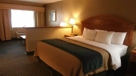 Comfort Inn Sun City Center | Florida - Tampa (ve civarı) - Sun City Center