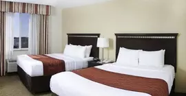 Comfort Suites Tampa Airport North | Florida - Tampa (ve civarı) - Tampa