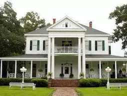 Blythewood Plantation | Louisiana - Hammond (ve civarı) - Amite