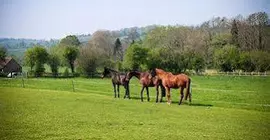 The Tithe Barn | Bristol (ve civarı) - North Somerset - Bristol