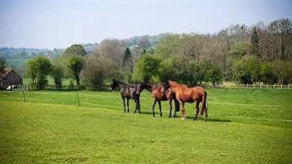 The Tithe Barn | Bristol (ve civarı) - North Somerset - Bristol