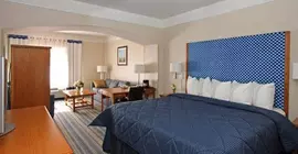 Comfort Inn & Suites Savannah Airport | Georgia - Savannah (ve civarı) - Savana