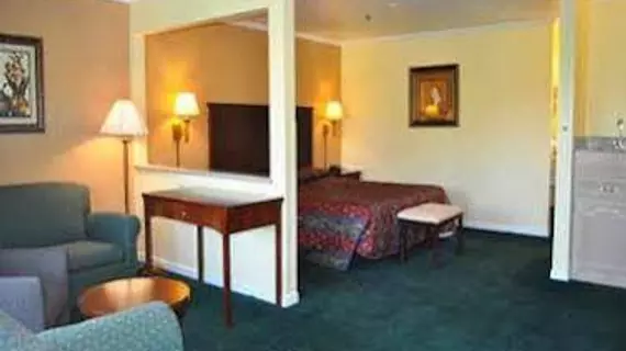 Executive Inn & Suites Sacramento | Kaliforniya - Sacramento (ve civarı) - Sacramento - Downtown Sacramento