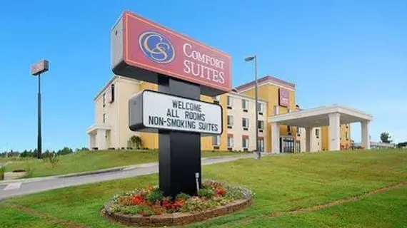 Comfort Suites Cullman | Alabama - Cullman (ve civarı) - Cullman